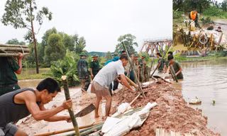 Mong manh Đê kè