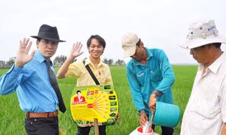 Mai-cồ… tôm