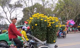 Hối hả mang xuân về nhà