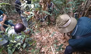 [VIDEO] Băng rừng, lội suối truy tìm con dao giết 4 người