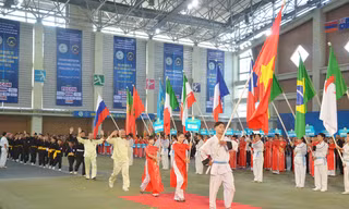 Đoàn VĐV Việt Nam.