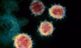 Virus SAR-CoV-2 có thể bị tiêu diệt bởi thuốc redemsivir