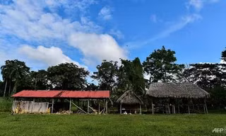 Nơi cầu nguyện của giáo phái “ Ánh sáng mới của Chúa”, giáo phái chịu trách nhiệm cho ngôi mộ tập thể được tìm thấy hồi tháng 1 năm nay.