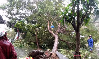 'Dân chết rồi anh đền mấy chục triệu là xong hay sao?'