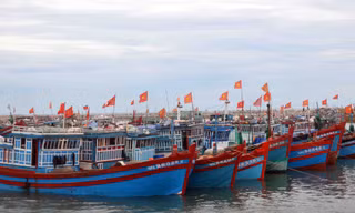 Luật Thủy sản quy định, giao cho các địa phương cấp hạn ngạch khai thác cho tàu cá trên địa bàn tỉnh