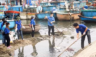 Ra quân Làm sạch biển và thu gom rác thải tại Cảng cá Quy Nhơn (TP Quy Nhơn, tỉnh Bình Định). Ảnh: Tr.Định 