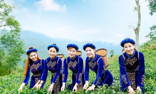 Thí sinh iMiss Thăng Long rạng rỡ sắc áo dân tộc bên đồi chè