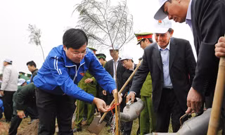 Các đại biểu trồng cây phi lao gây rừng phòng hộ