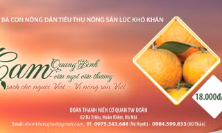 Chung tay đưa cam sạch cho người Việt