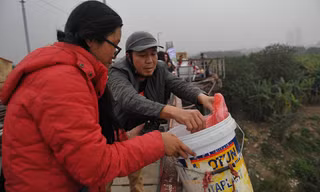 Giới trẻ Hà thành giúp người dân thả cá tiễn ông Táo