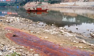 Nước lạ trên sông Hồng