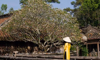 Phụ nữ trong nước và nước ngoài khi tham quan di tích Huế được miễn phí vé vào cổng nếu mặc trang phục áo dài truyền thống (ảnh minh họa)