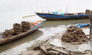 Những vỏ lốp bám đầy con hàu vớt lên từ đầm Lập An trông ghê người.