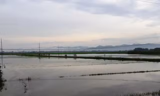 Mưa lớn do áp thấp nhiệt đới, hàng nghìn ha cây trồng úng ngập