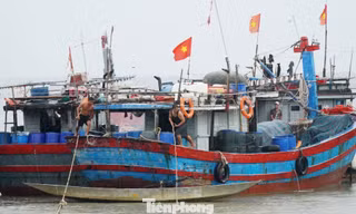 Hơn 170 phương tiện đánh bắt thủy, hải sản trên biển, với trên 1.000 lao động nghề cá thuộc địa bàn TT-Huế đã trở về nơi trú tránh bão an toàn.