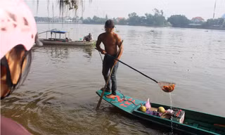 Cá chép ông Táo chưa kịp “hoá rồng” đã bị chích điện