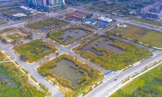 Cả 4 lô đất được TPHCM mang ra đấu giá trong vào ngày 10/12/2021 đều bị doanh nghiệp bỏ cọc, không thực hiện dự án