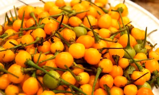 Loại ớt charapita đắt nhất thế giới