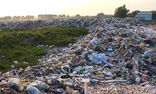 'Núi' rác thải tự phát dài cả trăm mét lưu cữu nhiều năm tại Hà Nội