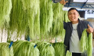 Kỹ sư cơ khí "bẻ lái", biến lá dứa thành vải đầu tiên tại Việt Nam