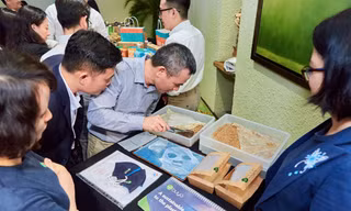 Biến bã bia, bã mía… thành nhựa