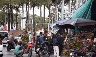 27 Tết, người dân 'đội' mưa mua đào, quất giảm giá
