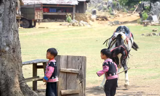 Độc nhất làng 'nguyên thủy' 3 không trên cao nguyên Mộc Châu