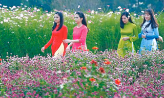 Thiếu nữ và Xuân