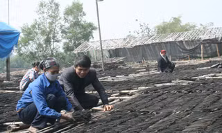 Khát vọng làm giàu của những ông chủ trẻ