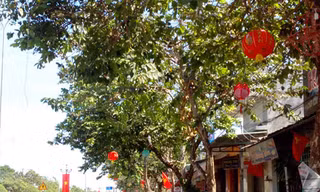 Vũng Tàu bỗng dưng có phố... Tàu!