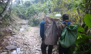 Gỗ sưa đã về các xã vùng đệm