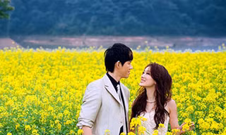 Tỏ tình mùa hoa cải