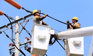 Thông tin cung cấp dịch vụ điện trên địa bàn TPHCM mới