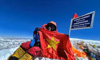 Cựu nhà báo Việt chinh phục ‘nóc nhà thế giới’ và đỉnh Lhotse trong 48h: Các ngọn núi dạy tôi nhiều bài học