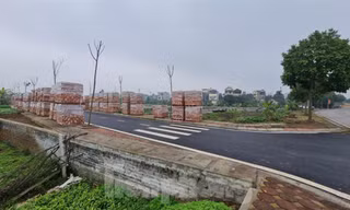 Liên tiếp phát hiện sai phạm trong đấu giá quyền sử dụng đất: Cách nào bịt lỗ hổng? 