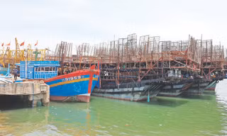 Những con tàu nằm lại đáy biển khơi 