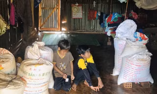 Vỡ mộng đổi đời 