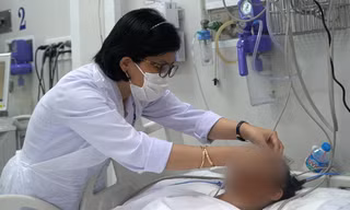 Cả gia đình thương vong sau khi ăn nấm 
