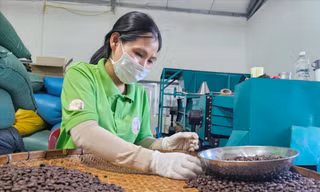 Cà phê tăng giá, doanh nghiệp 'bấm bụng' chịu lỗ 