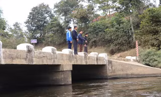 'Rái cá' bản Lìm 