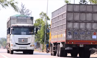  Xe tải chở gỗ dăm cơi thùng cao, chạy liên tục trên các tuyến đường Khu kinh tế Dung QuấtẢnh: Nguyễn Ngọc 
