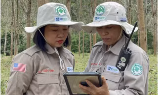  'Bông hồng thép' Diệu Linh 