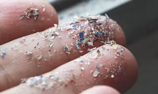 Vấn nạn vô sinh vì vi hạt nhựa 