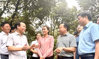 Đại phẫu 'vua' trái cây tỷ USD: Chờ sự hóa giải của tư lệnh ngành Nông nghiệp 