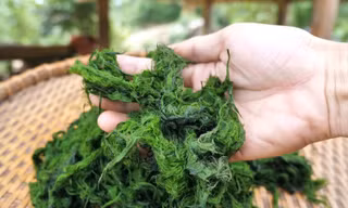 Nhớ quẹ