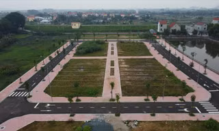 Đấu giá đất cao bất thường tại ngoại thành Hà Nội: Dấu hiệu đầu cơ, tạo sóng 
