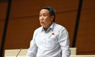 Vi phạm nhỏ, doanh nhân có thể được tại ngoại 