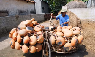 Hồn quê từ những làng nghề - Bài 2: Về Trù Sơn, nghe chuyện làng nồi