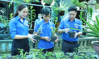 Lô Văn Bình (đứng giữa) giới thiệu các giống lan cho anh Lê Văn Lương - Bí thư Tỉnh Đoàn Nghệ An 