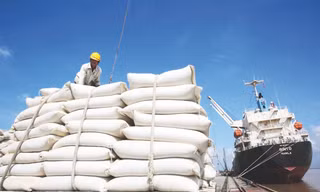 Bất ngờ dự báo của ADB về tăng trưởng GDP Việt Nam sau bão